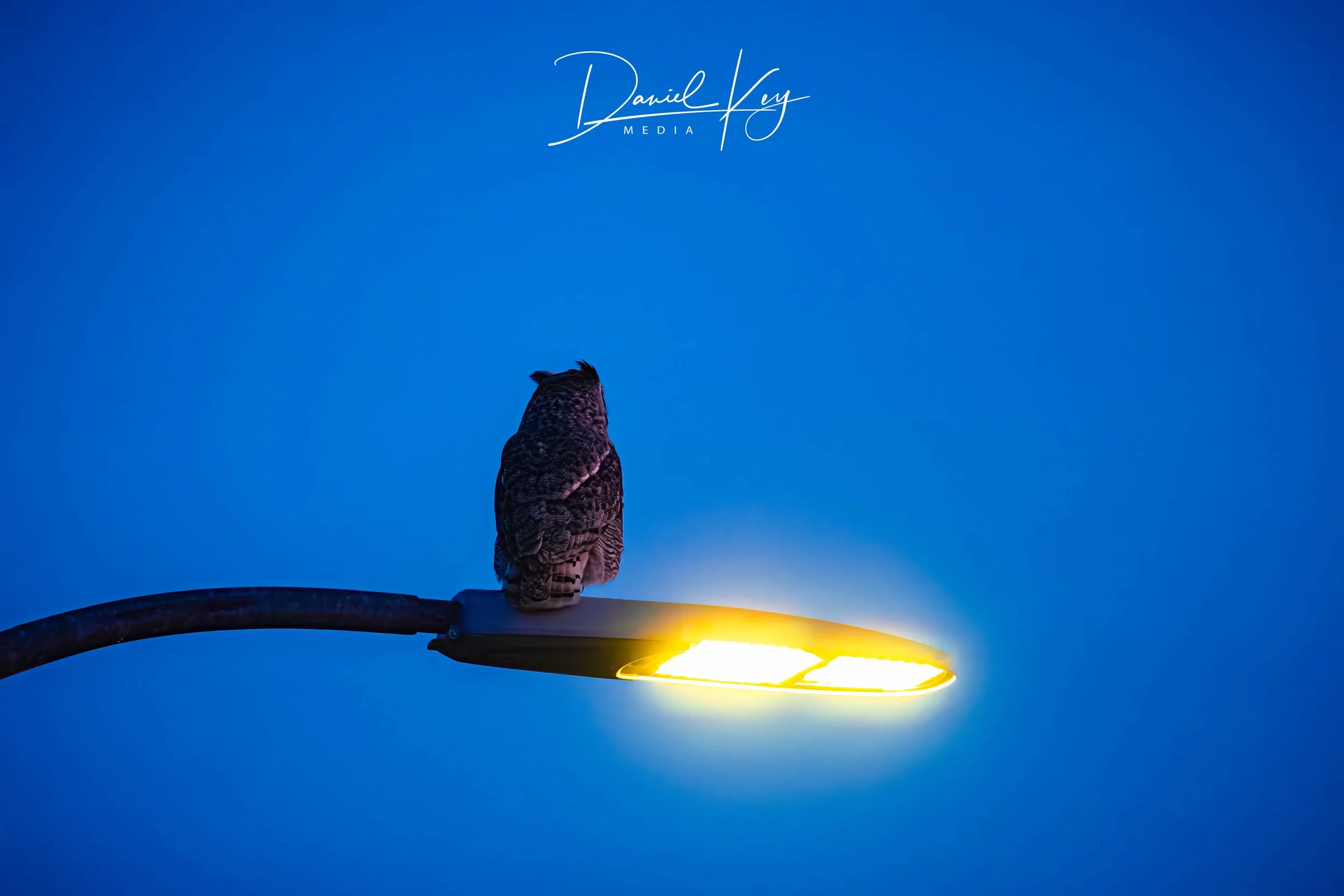 _D8A9409-EditWatermark.jpg