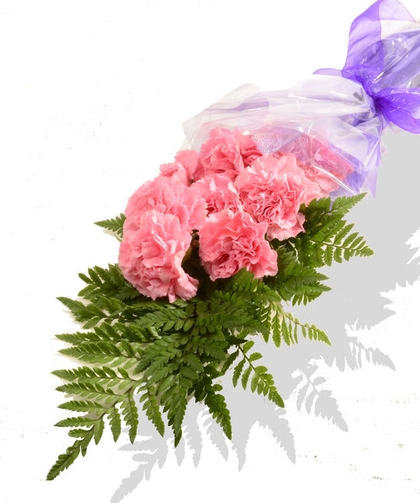 Carnations.jpg