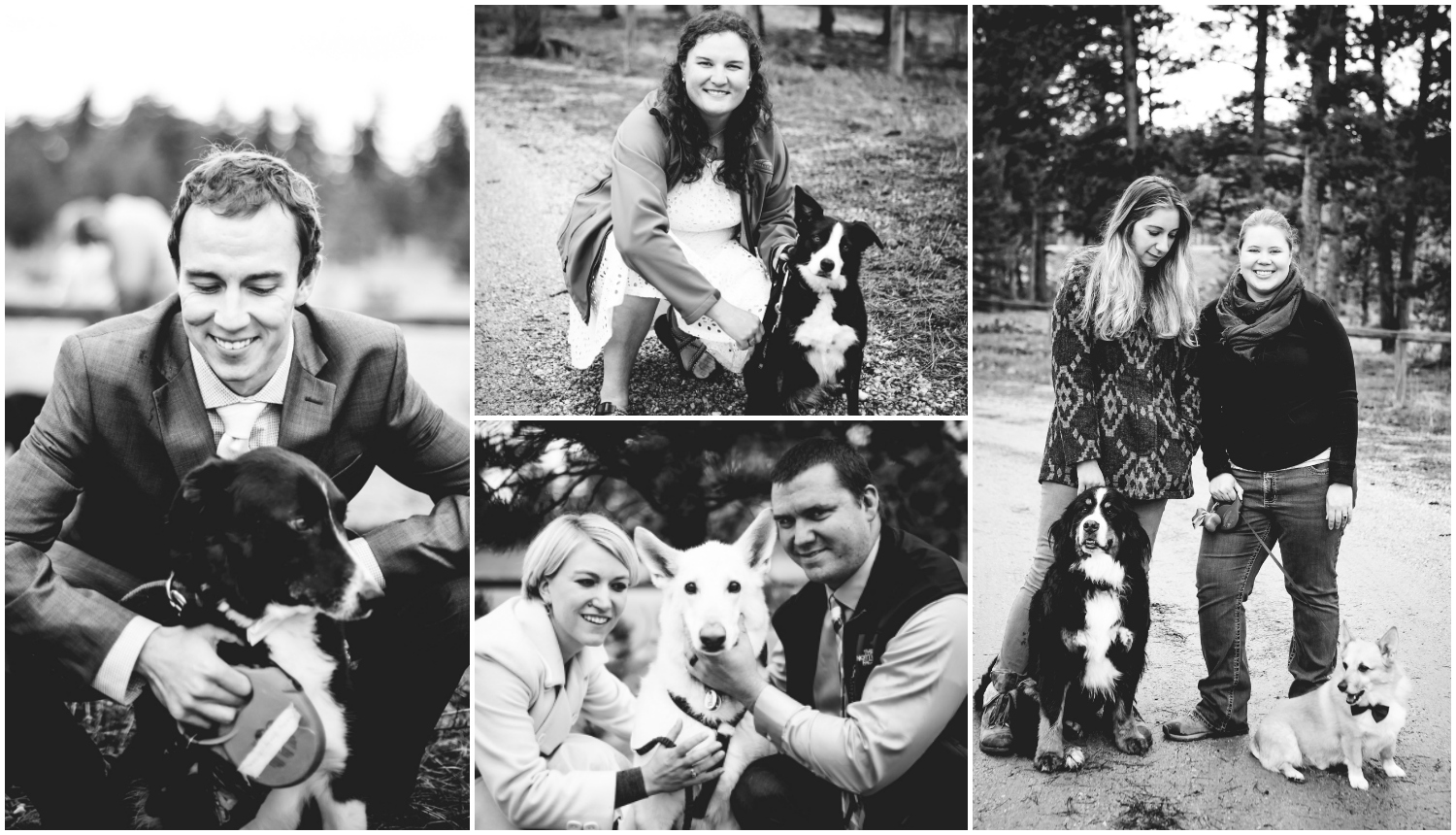 Wedding dogs and their owners. Fort Collins Colorado wedding photographed by JMGant Photography.