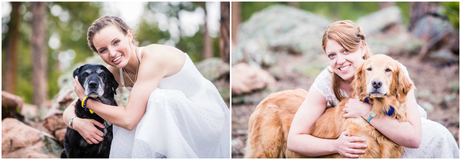 Brides with their dogs. 