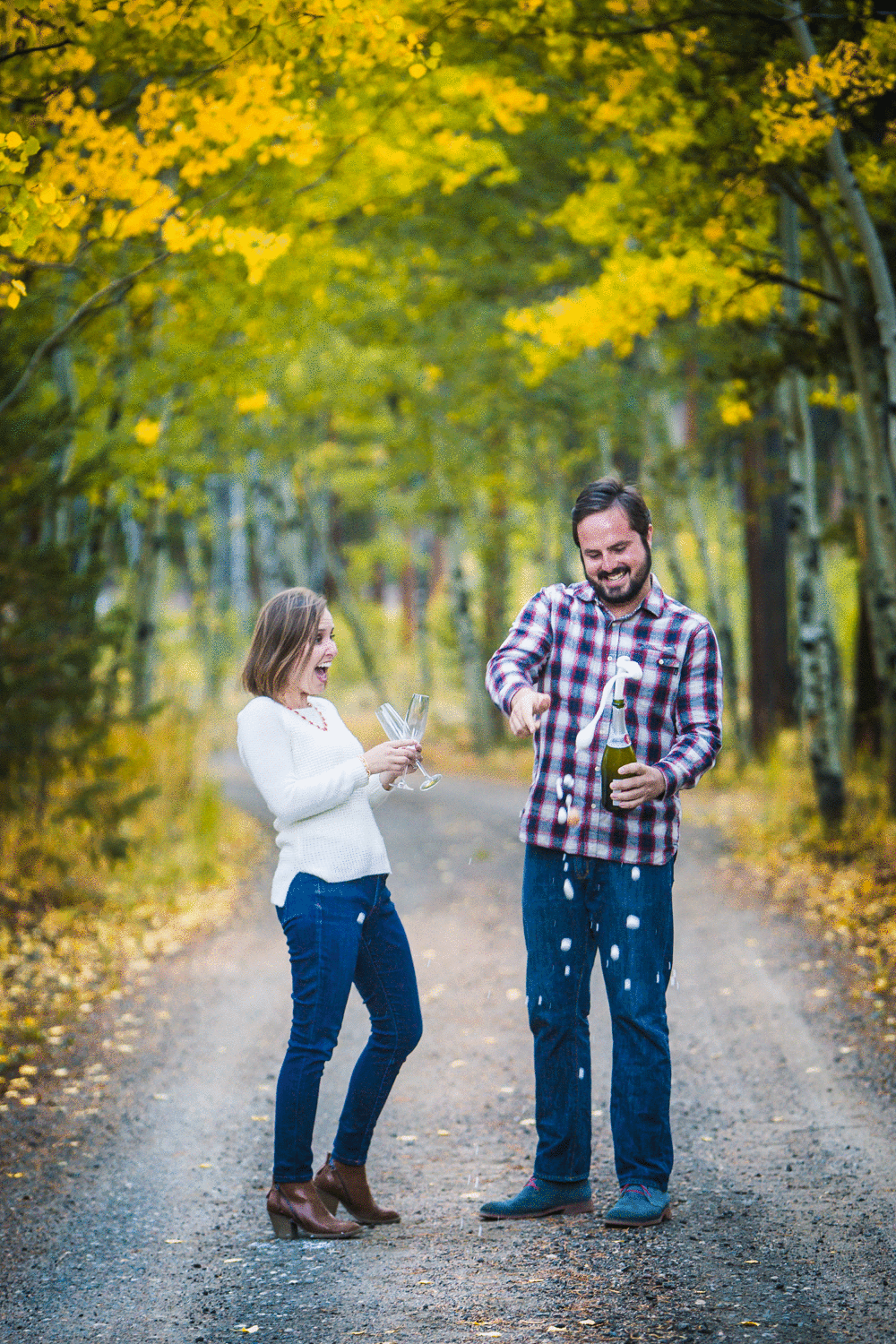 Champagne picnic during engagement pictures. 