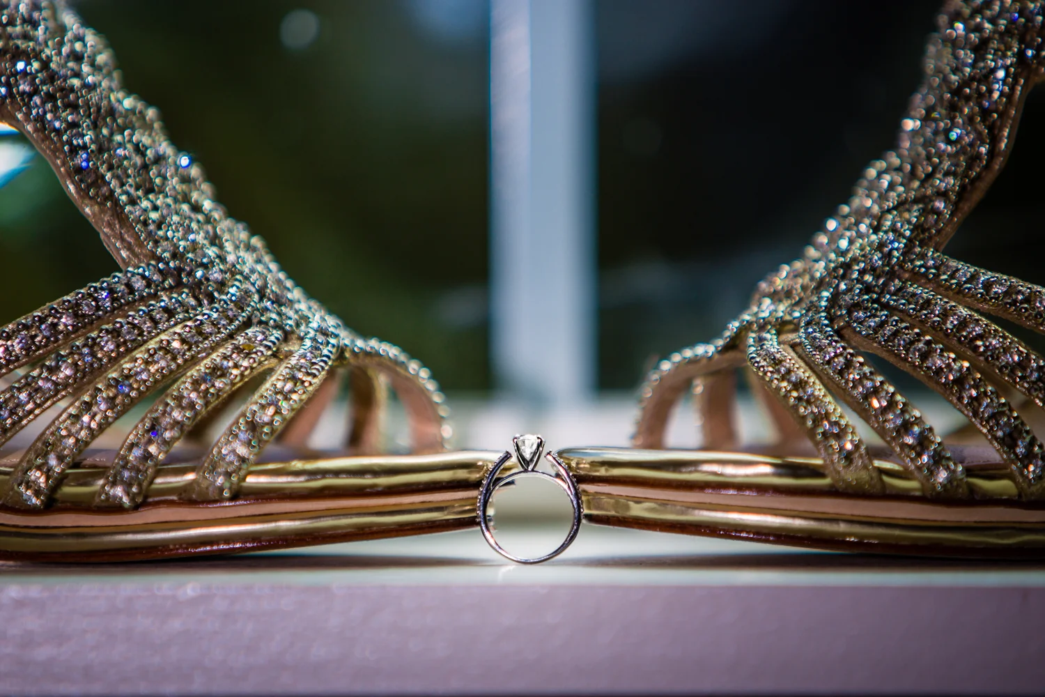 Denver Indian Wedding by JMGant Photography. 