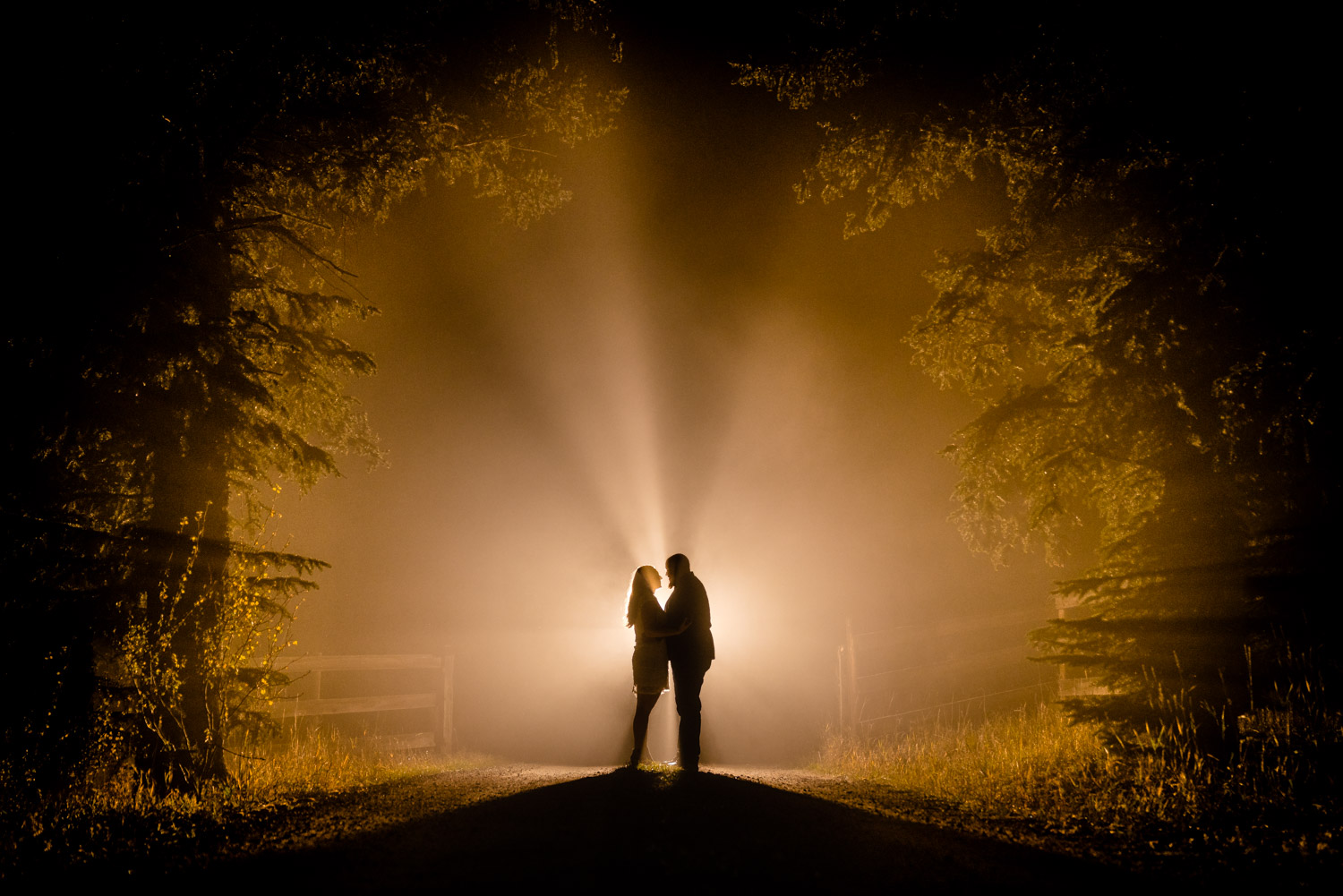 Colorado Fall Engagements | Bailey, Colorado Wedding Photographer | JMGant Photography
