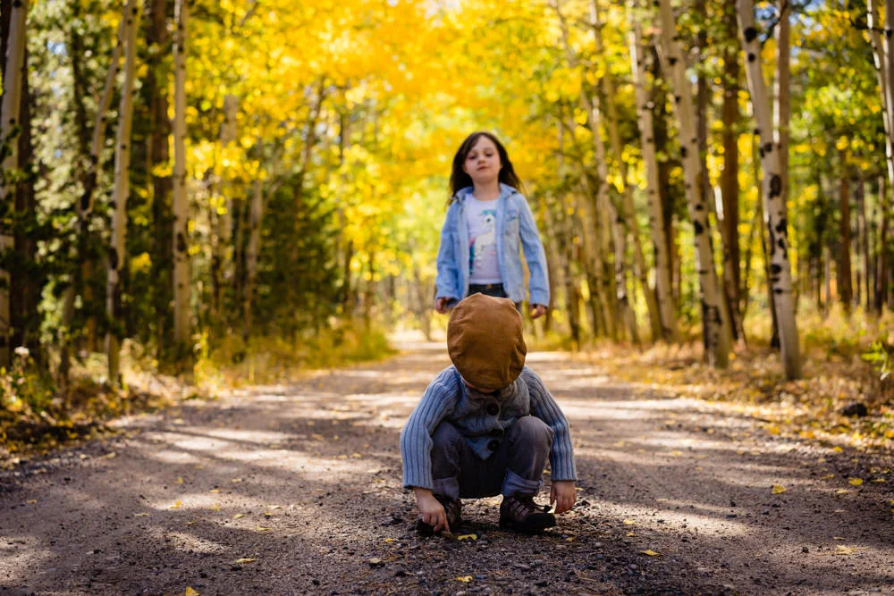 Fall Drive | JMGant Photography | Personal Blog