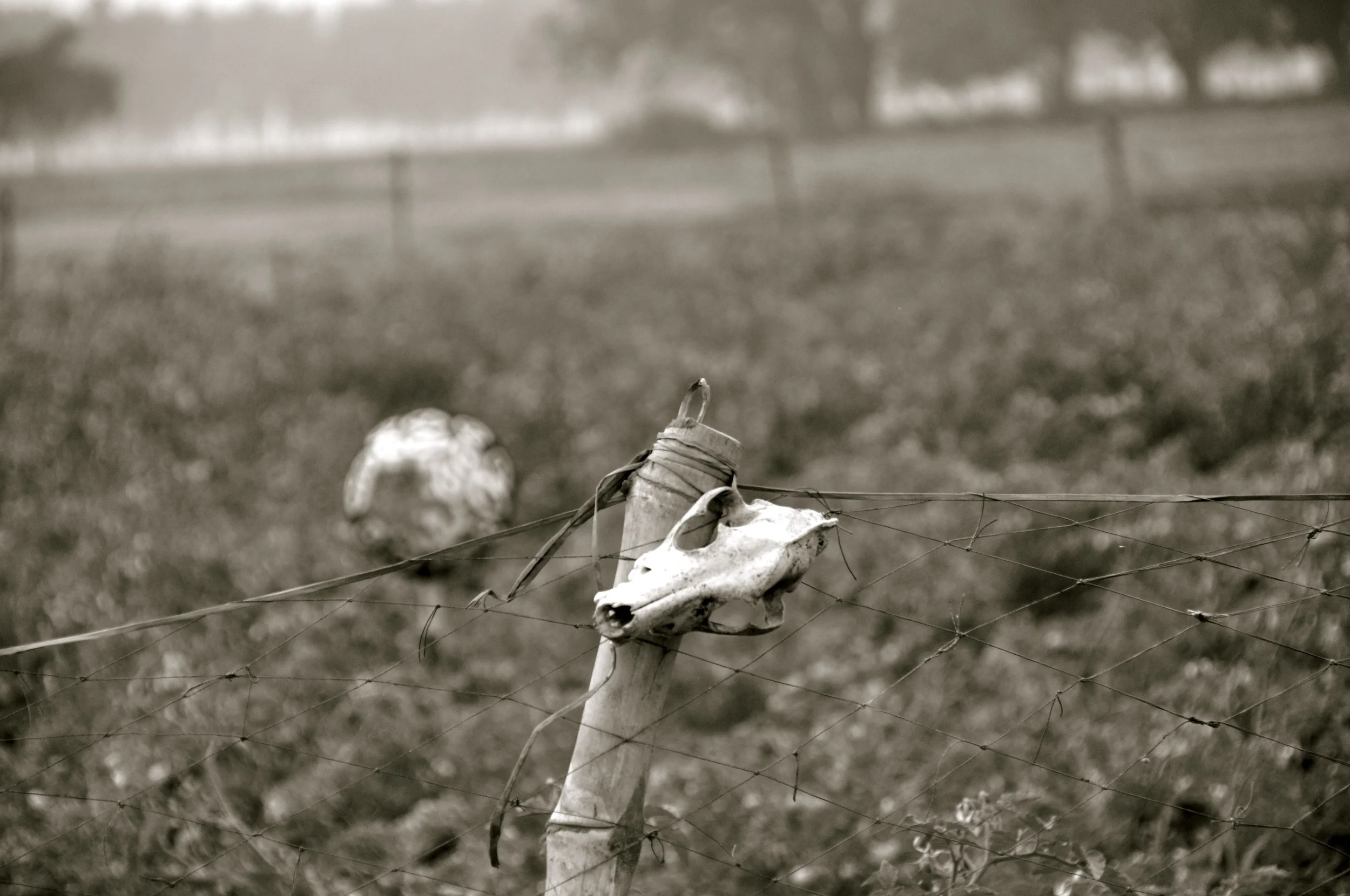 DSC_0758.jpg