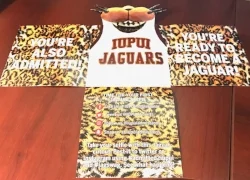 Award of Excellence - IUPUI WOW Admissions Brochure
