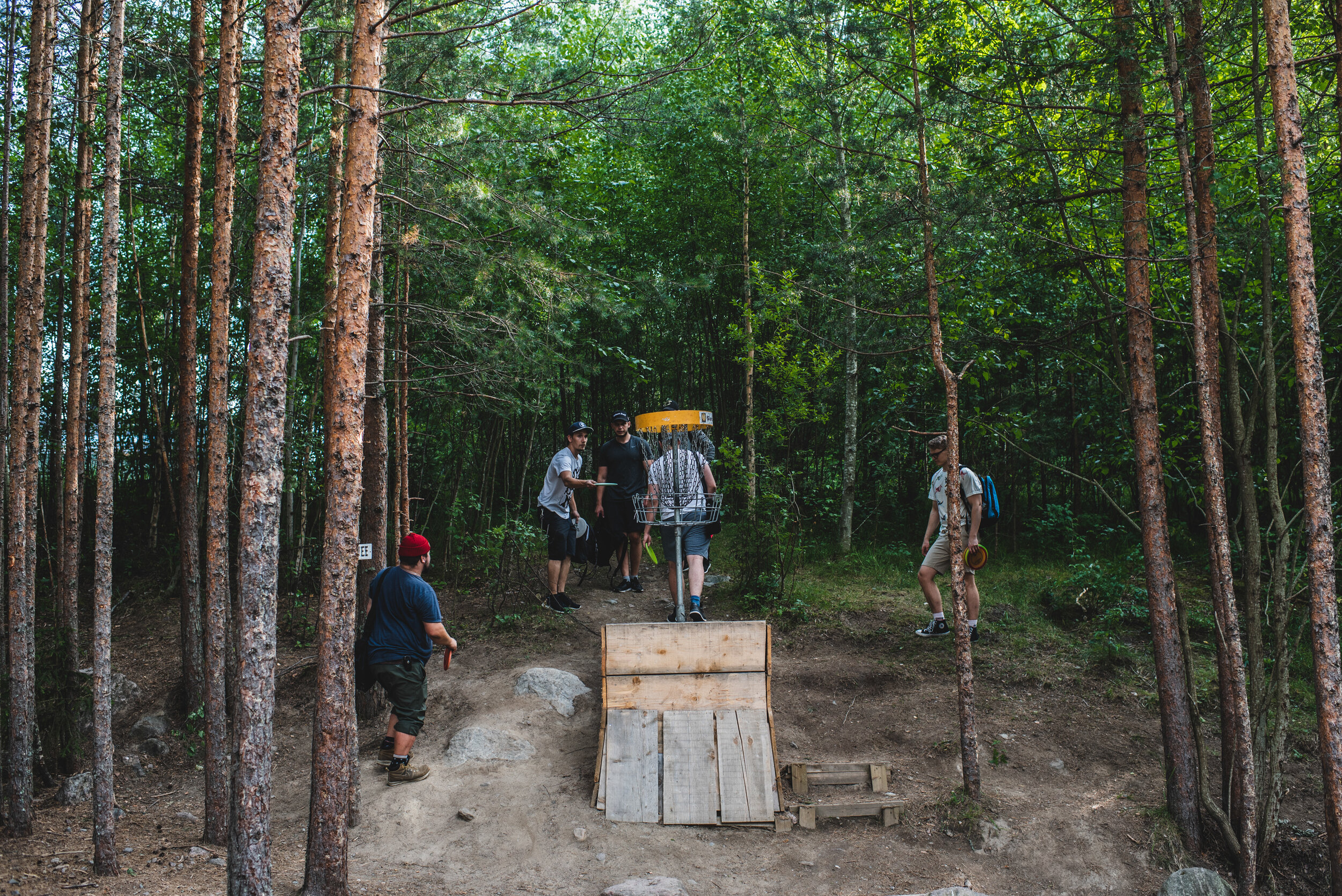 Hyrylä, 2019. Frisbee golfers in a re-forested gravel pit area.