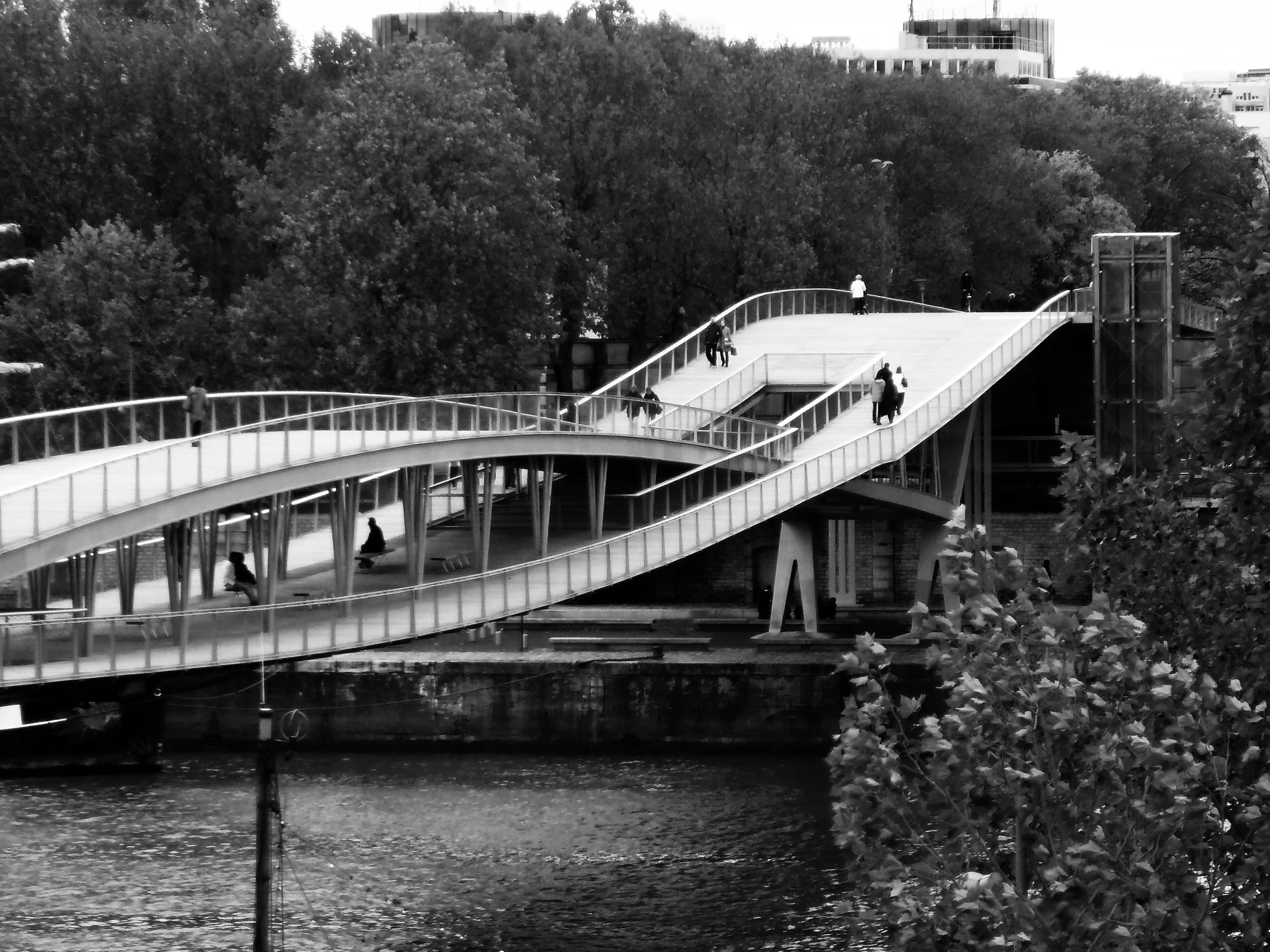 47. Intertwining_P1090157_bwF300.jpg