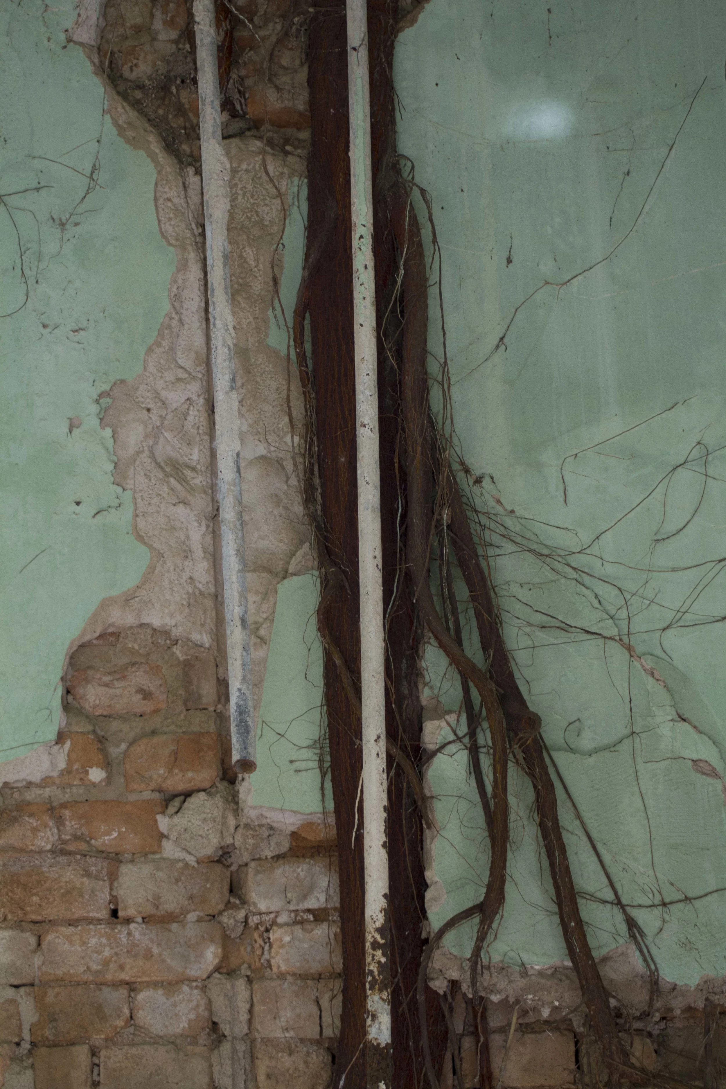 20140531.ITA.PN.Plumbing.jpg