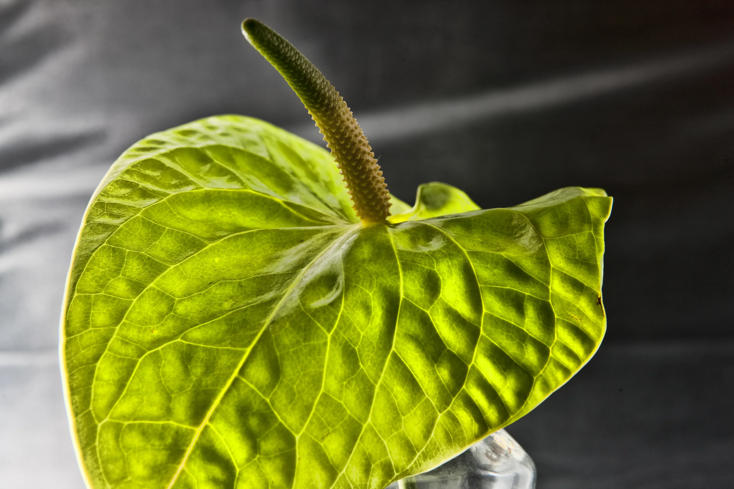 20091012.SAO.ER.Untitled 08.jpg