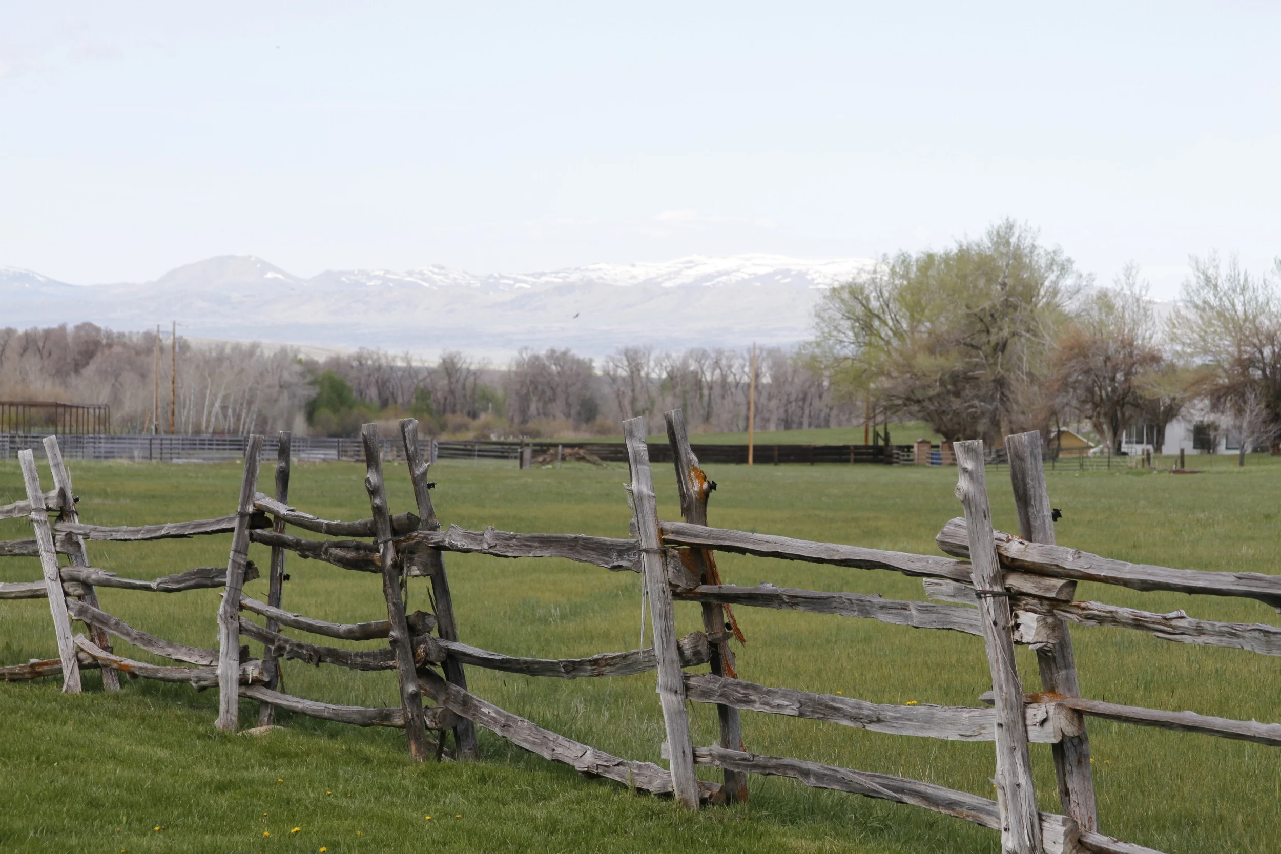 20110514.ELK.MISC.Untitled 047.JPG