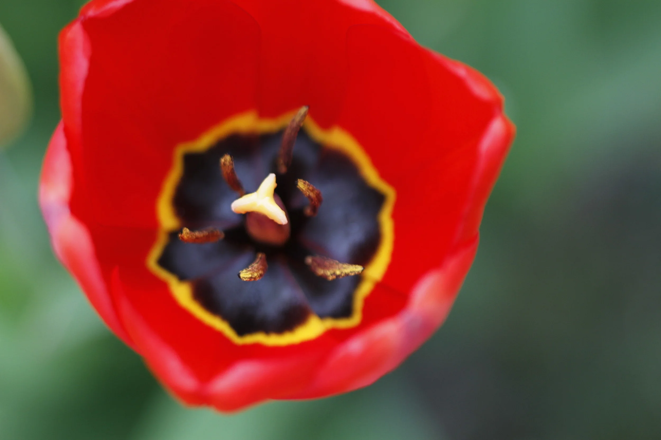 20110514.ELK.MISC.Untitled 062.JPG