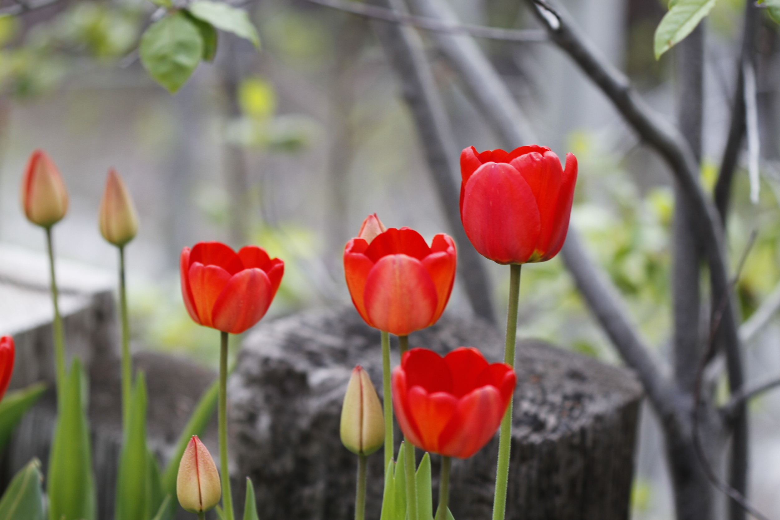 20110514.ELK.MISC.Untitled 132.JPG