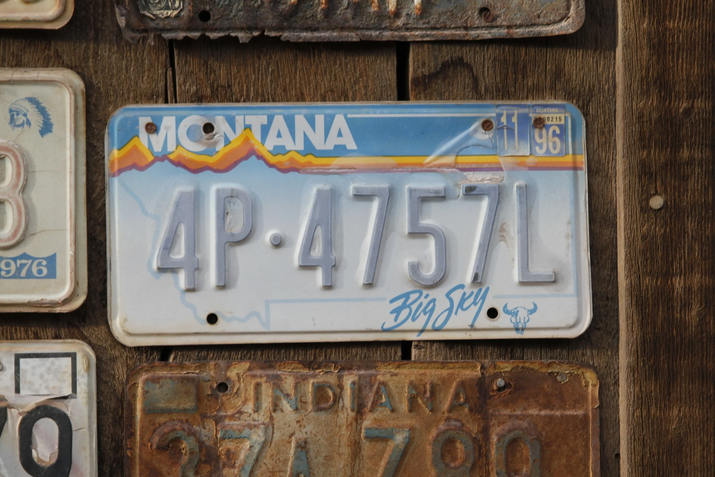  38th Telluride Film Festival 