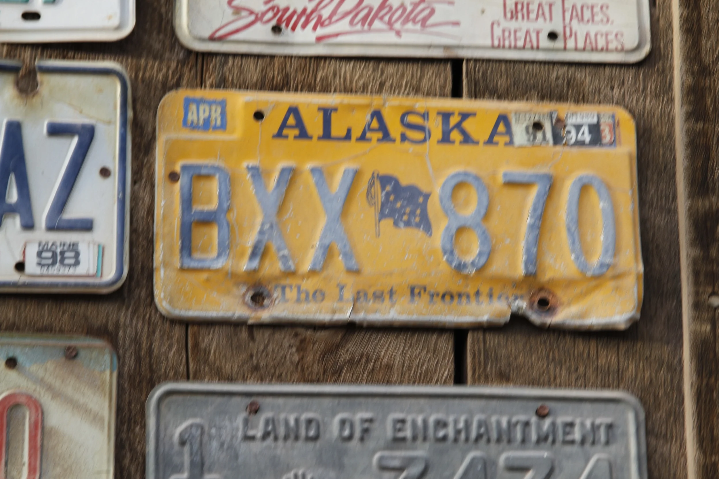  38th Telluride Film Festival 