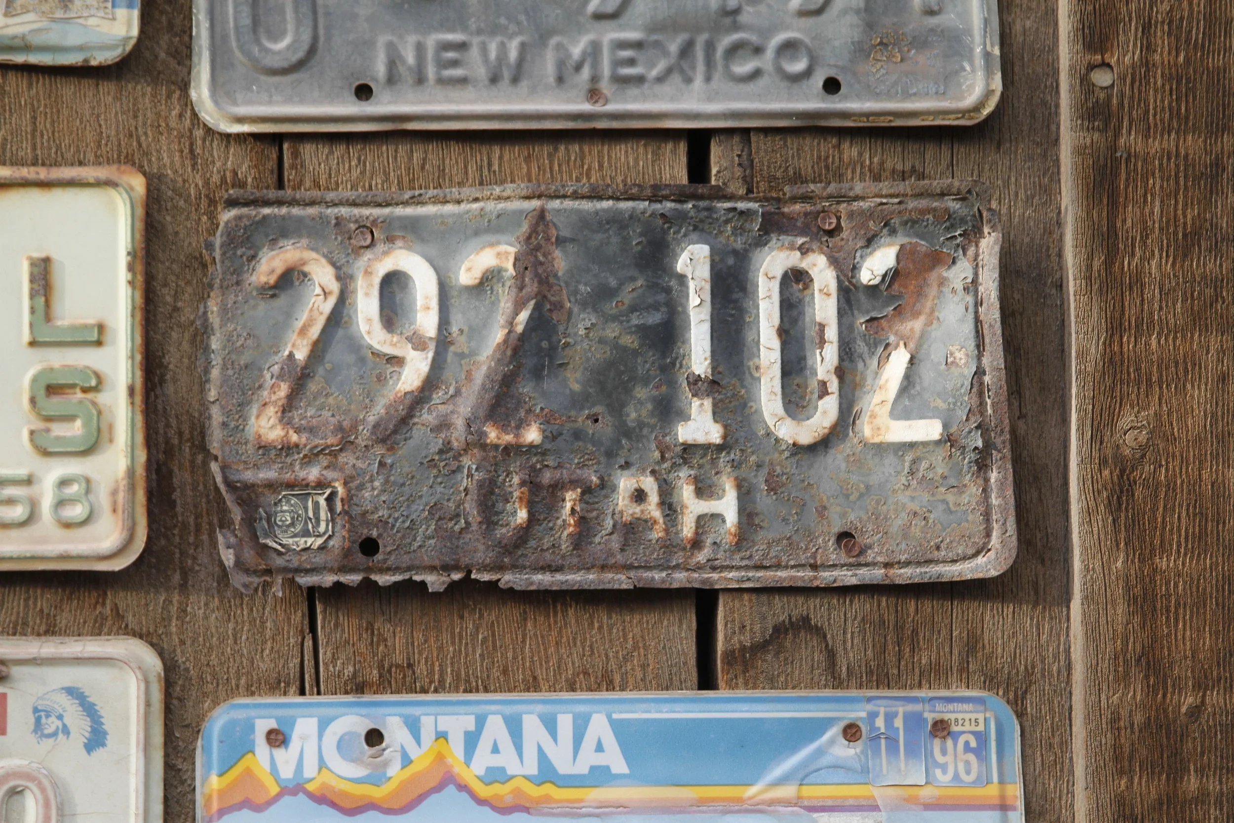  38th Telluride Film Festival 