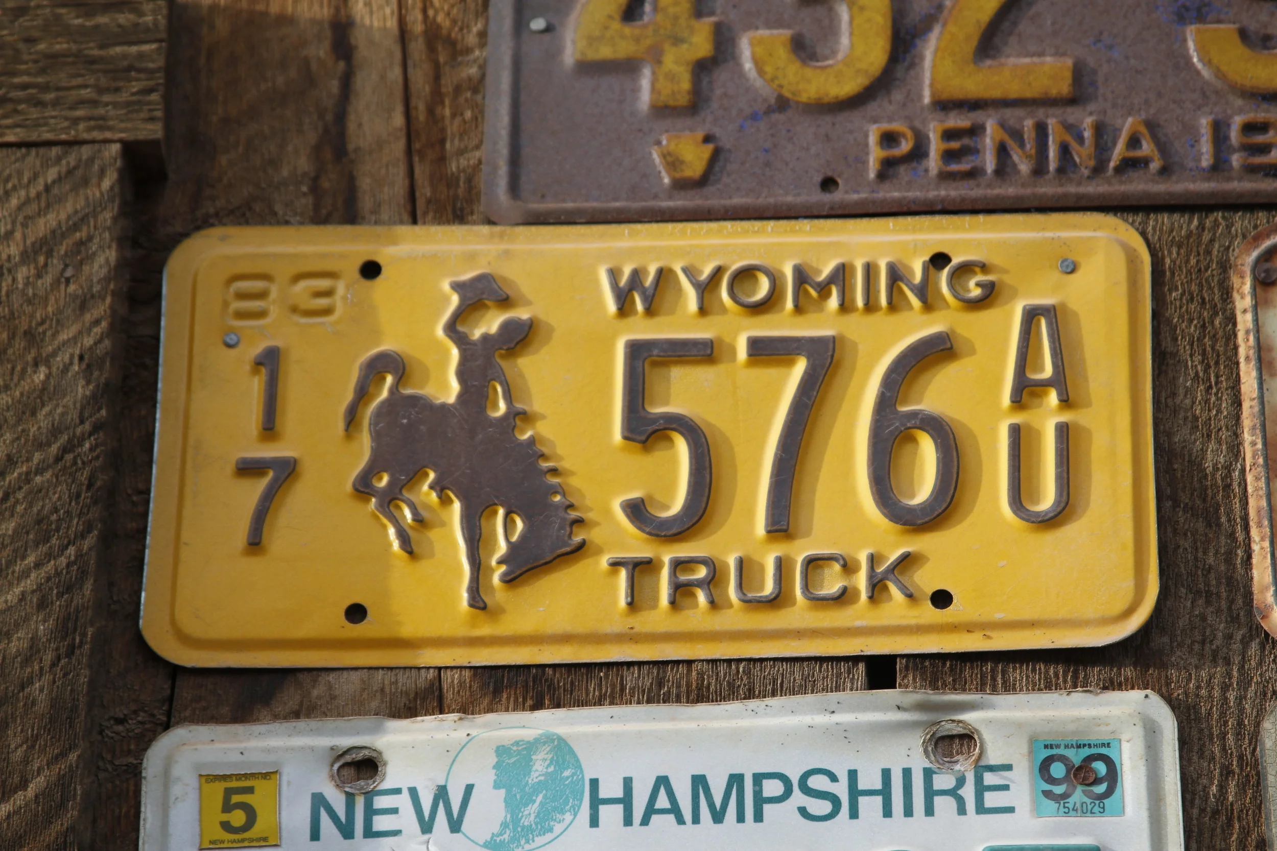  38th Telluride Film Festival 