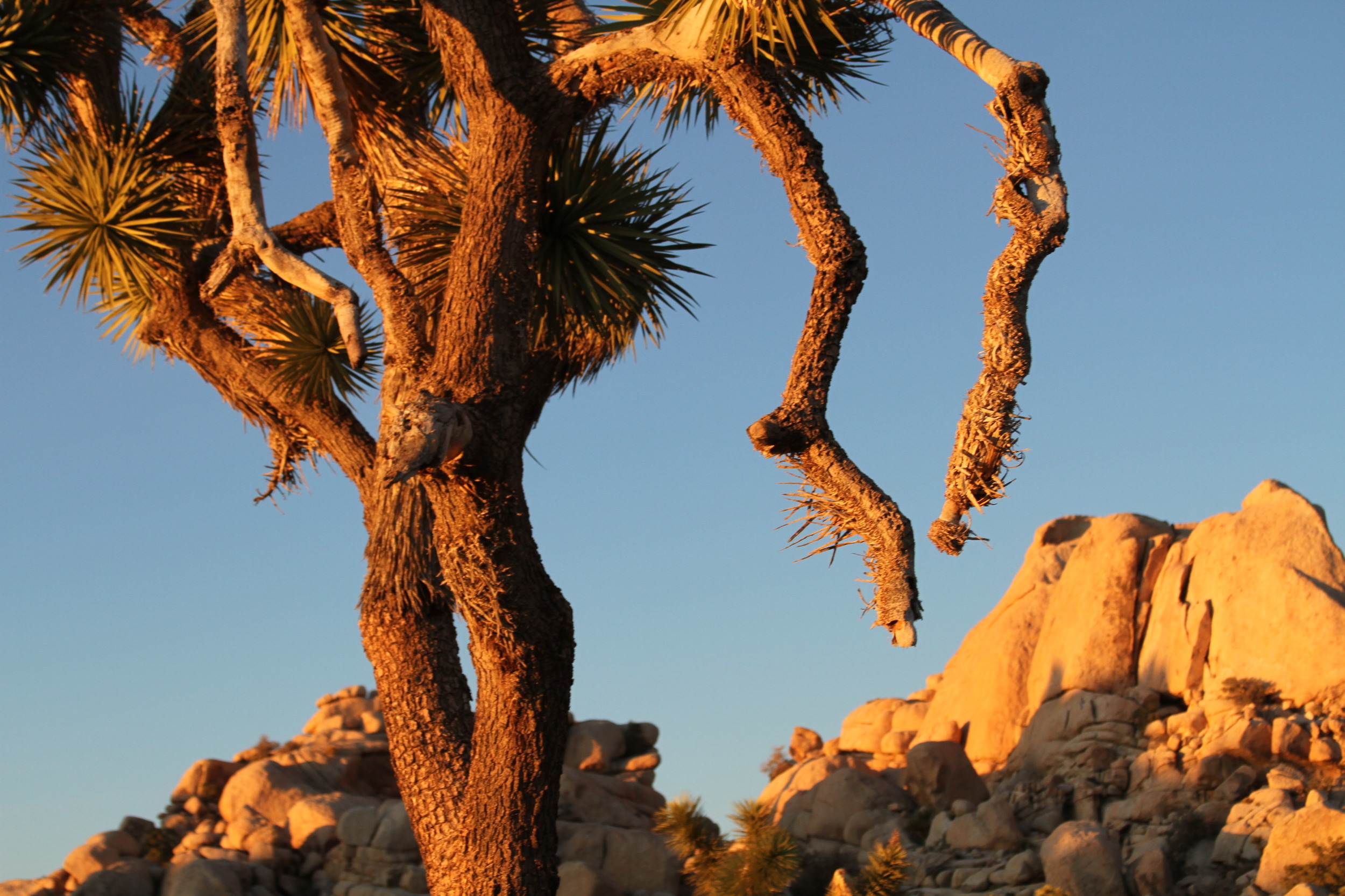 20120103.PAL.MISC.Untitled 094.JPG