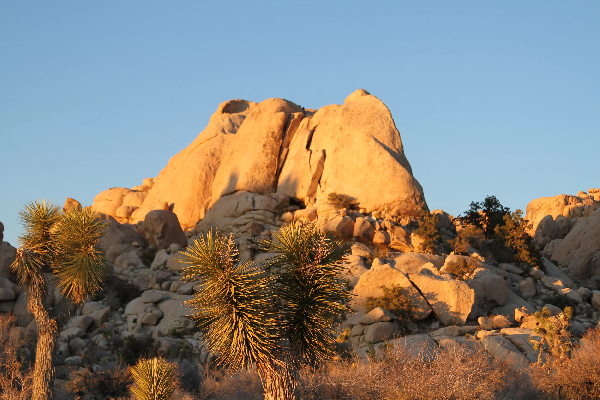 20120103.PAL.MISC.Untitled 096.JPG