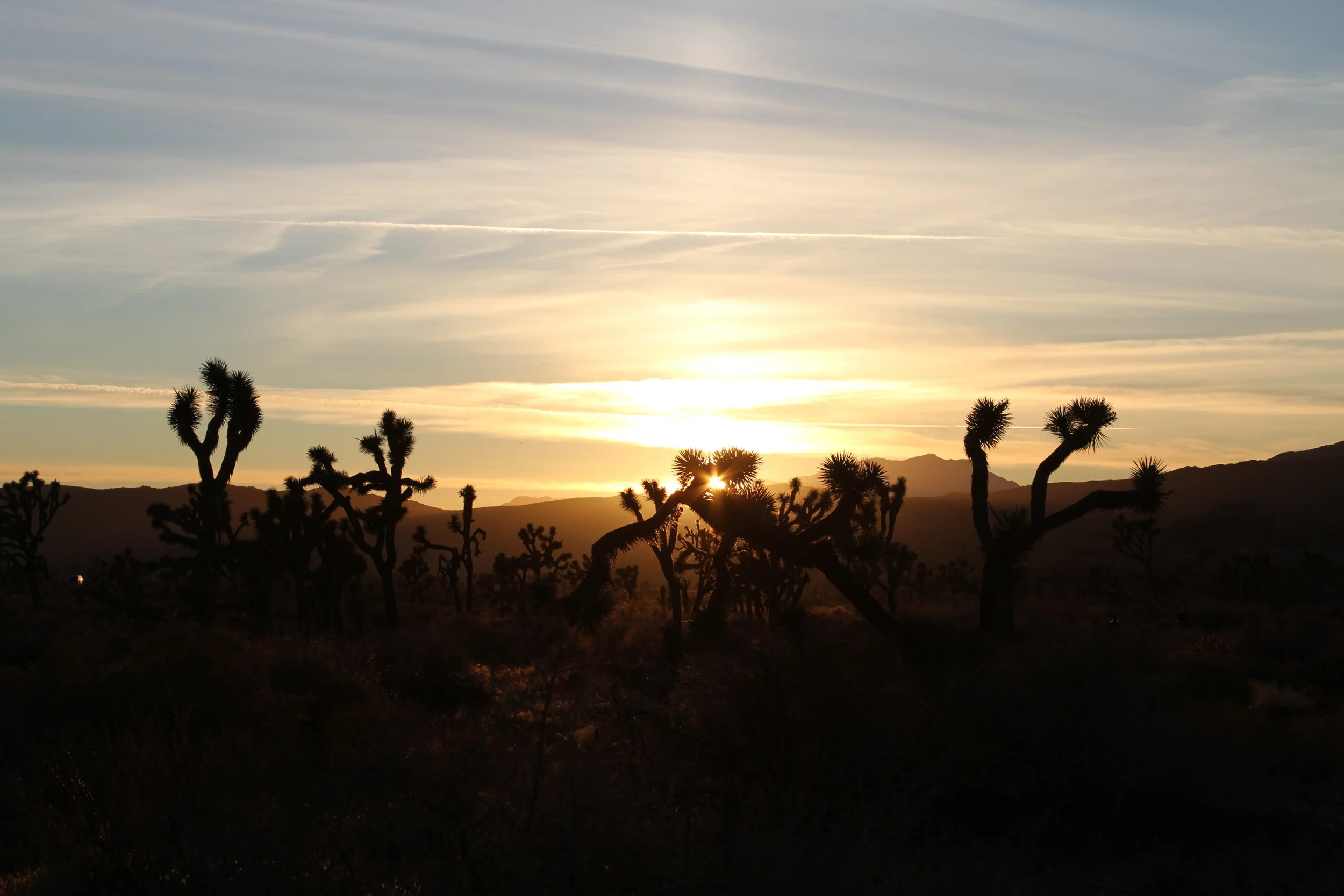 20120103.PAL.MISC.Untitled 100.JPG