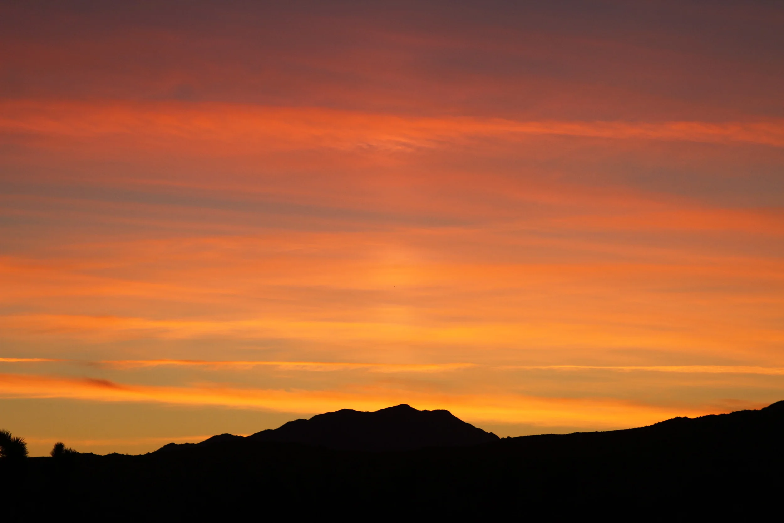 20120103.PAL.MISC.Untitled 114.JPG