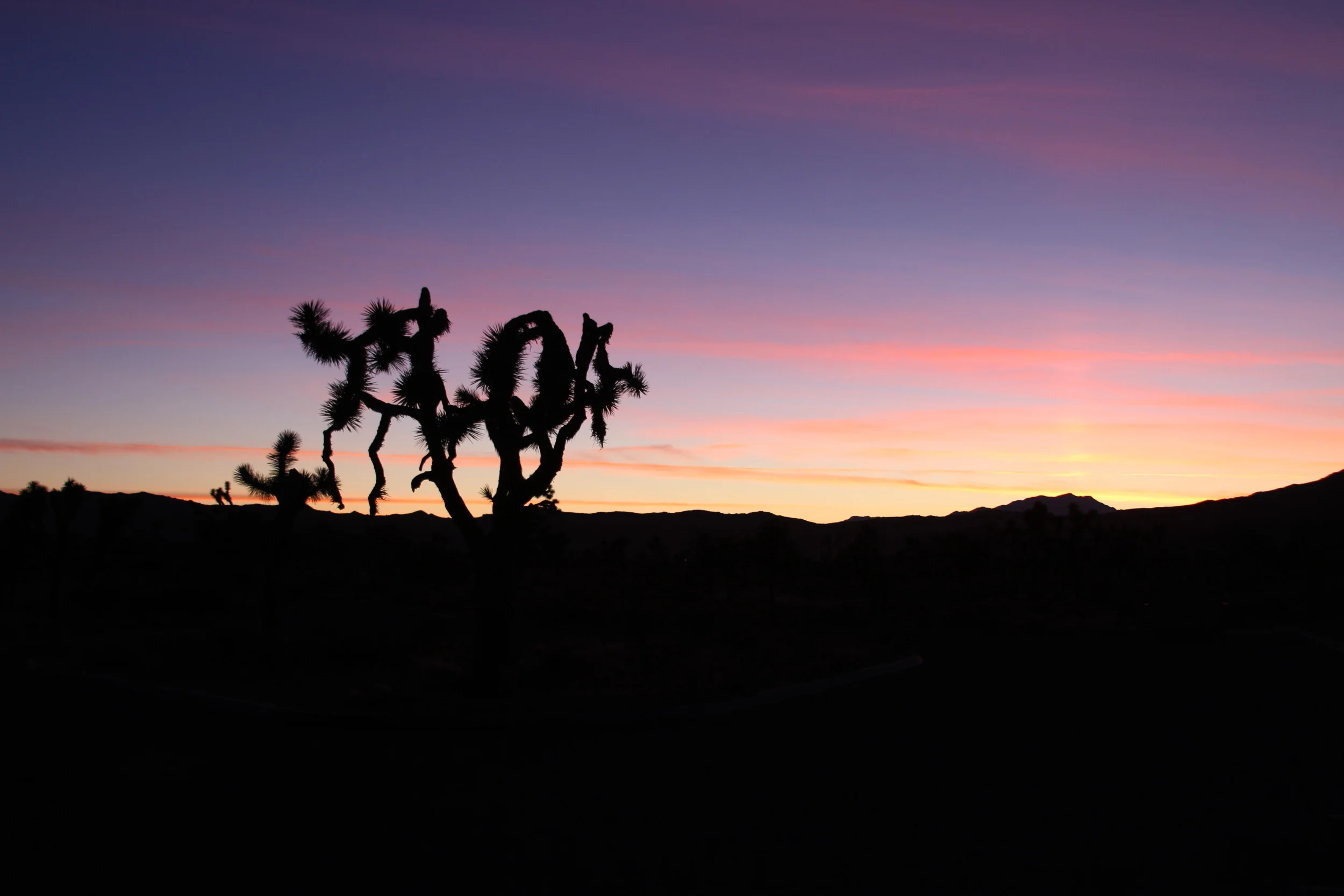 20120103.PAL.MISC.Untitled 118.JPG