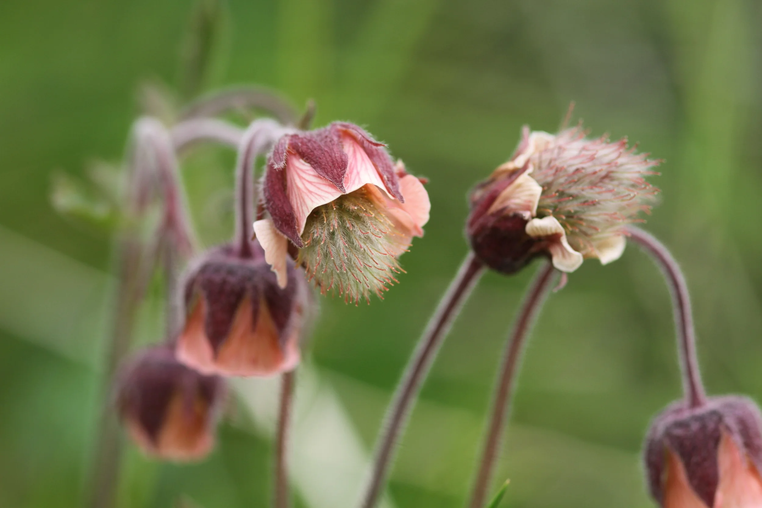 20130713.ICE.FAM.Untitled 0065.JPG