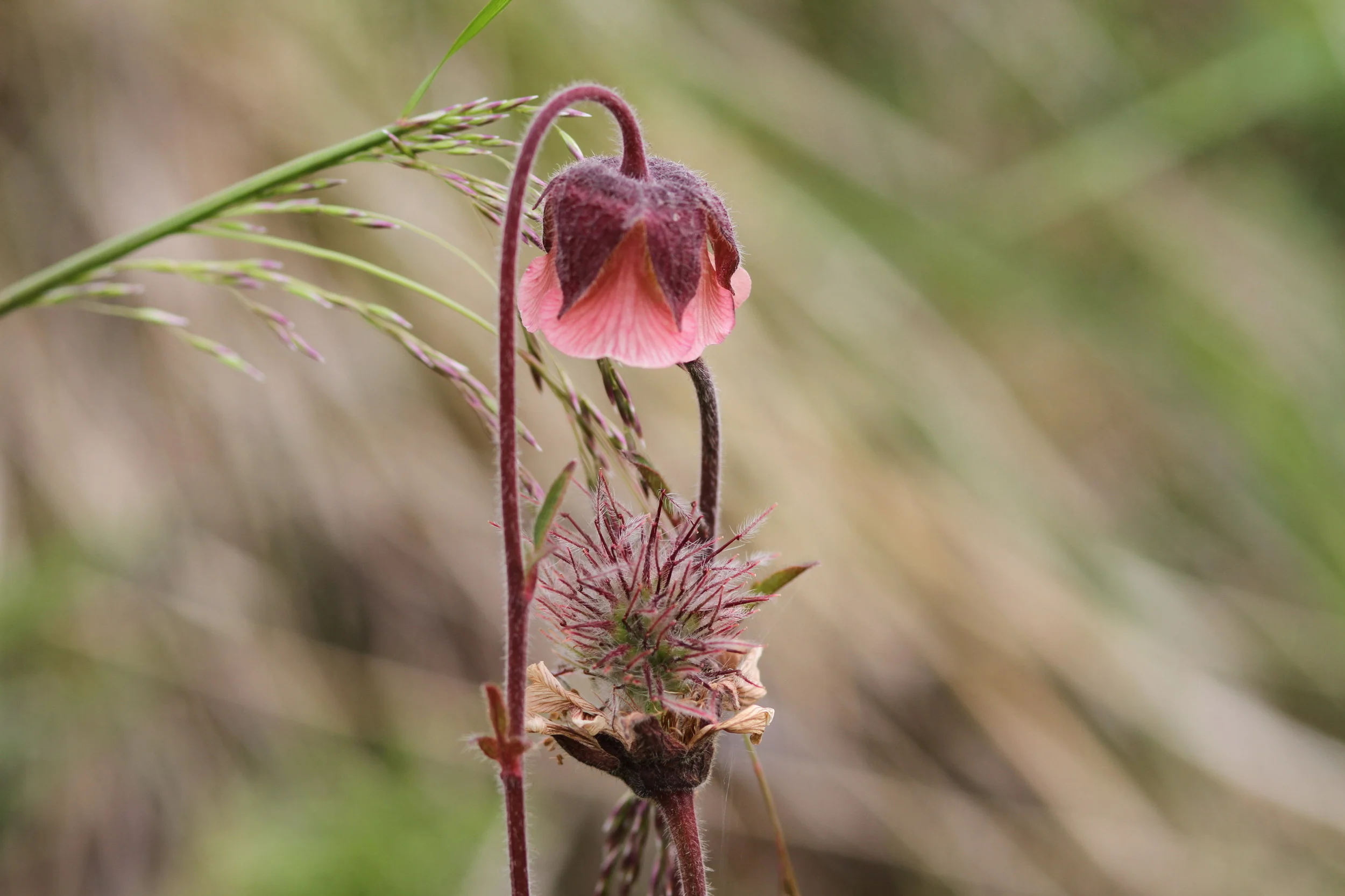 20130713.ICE.FAM.Untitled 0070.JPG
