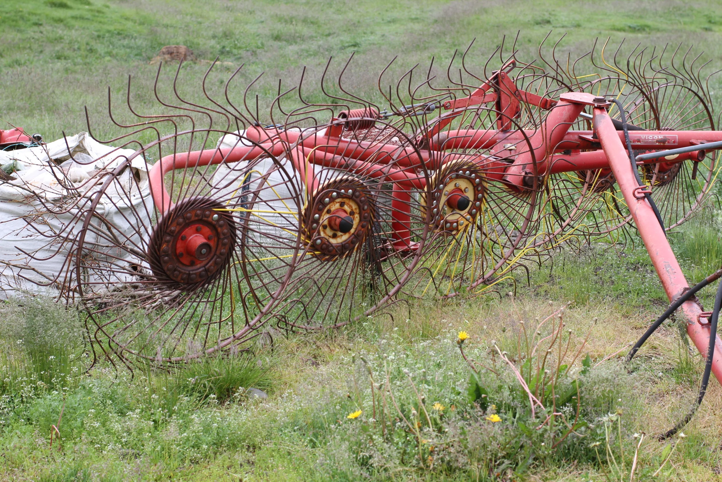 20130714.ICE.FAM.Untitled 010.JPG