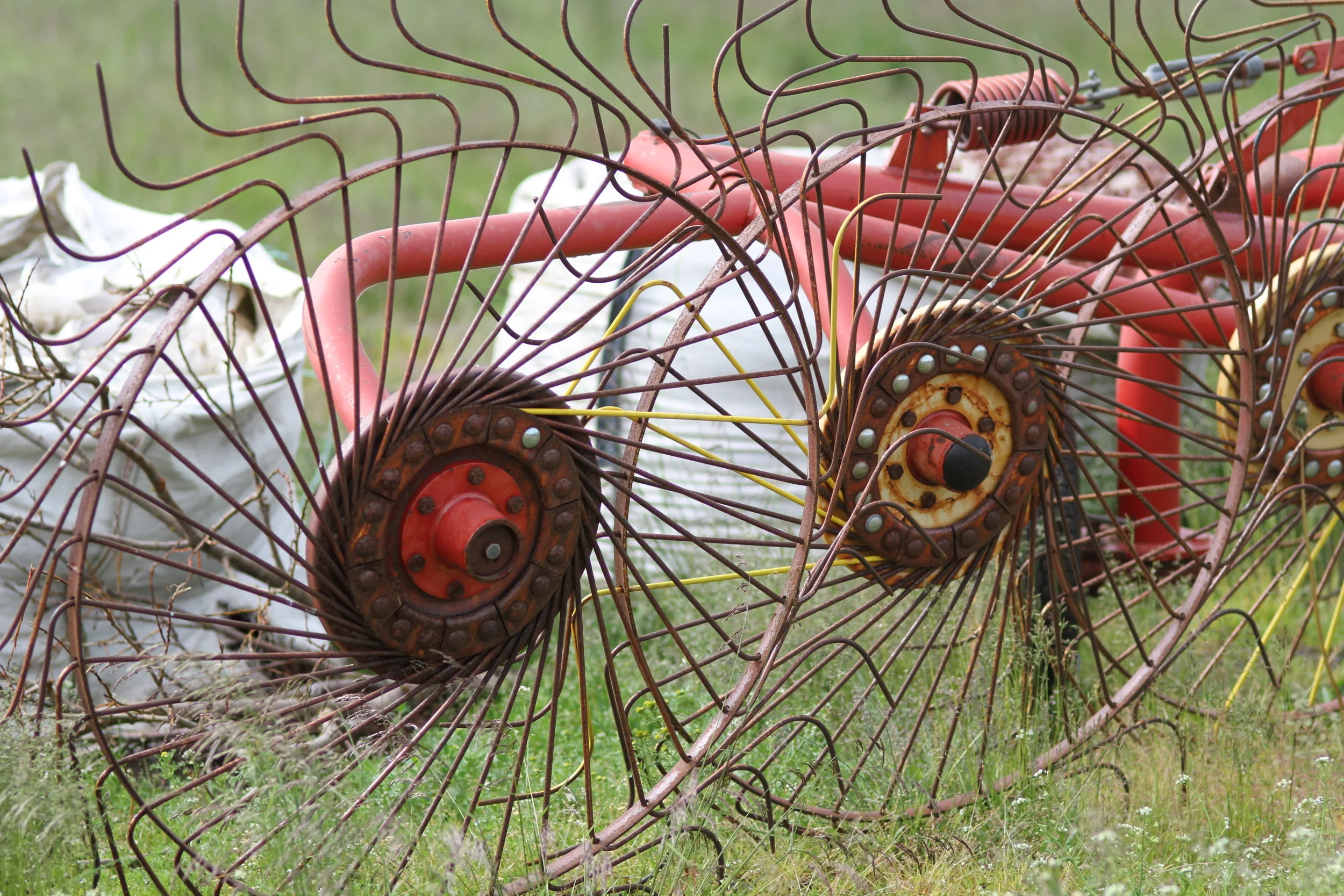 20130714.ICE.FAM.Untitled 156.JPG