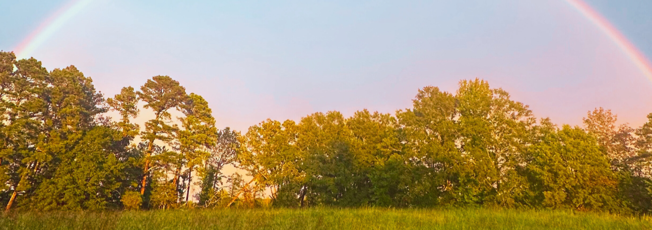 2026 Hymn Sing on Heron Hill cropped.png