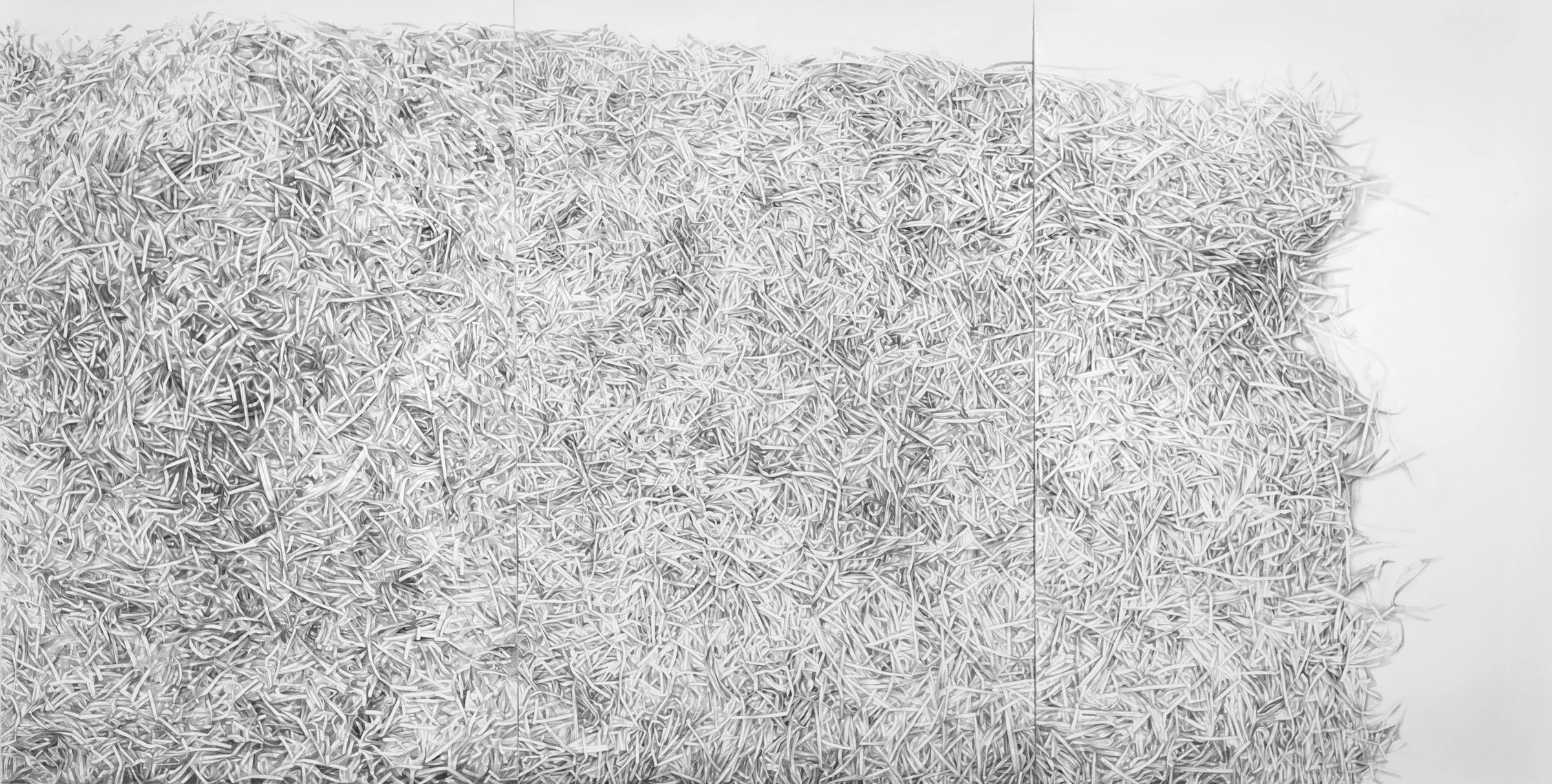   Proliferation &nbsp; 7 ft. H x 13ft. W Graphite on Paper &nbsp;  