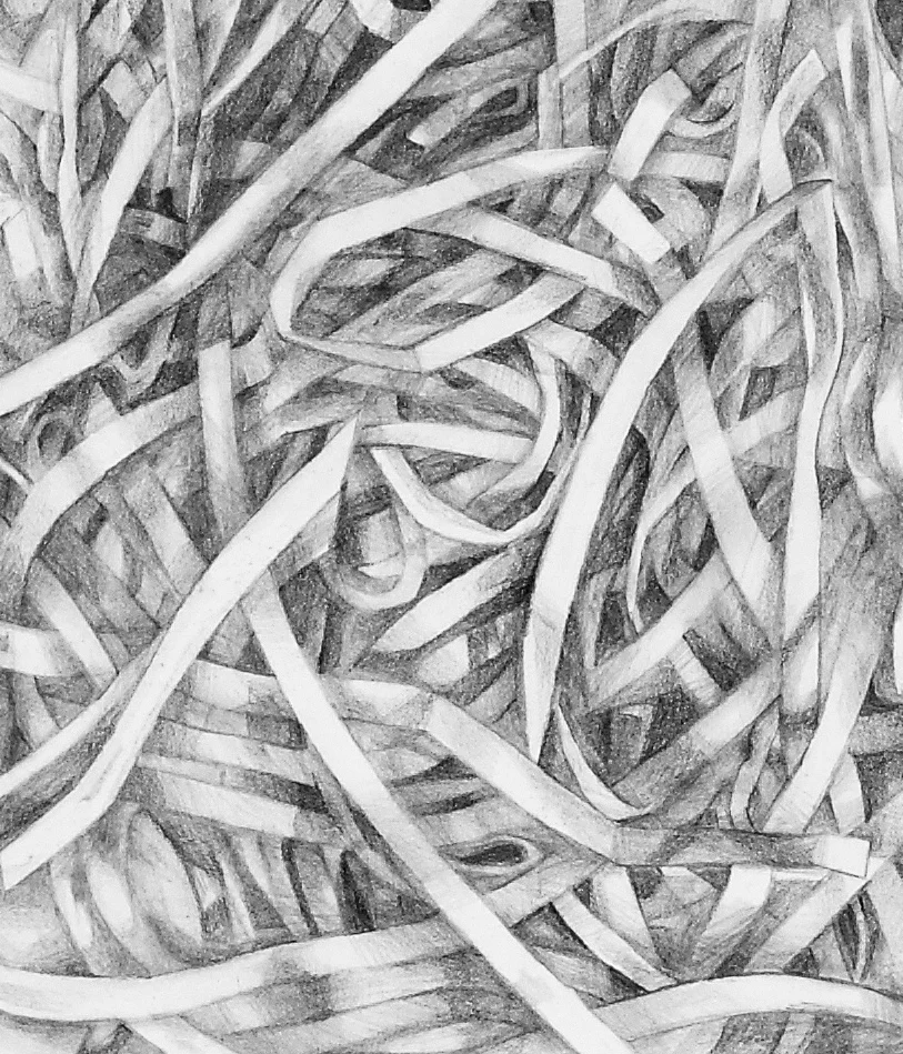  Detail: Shreds  Graphite on paper 