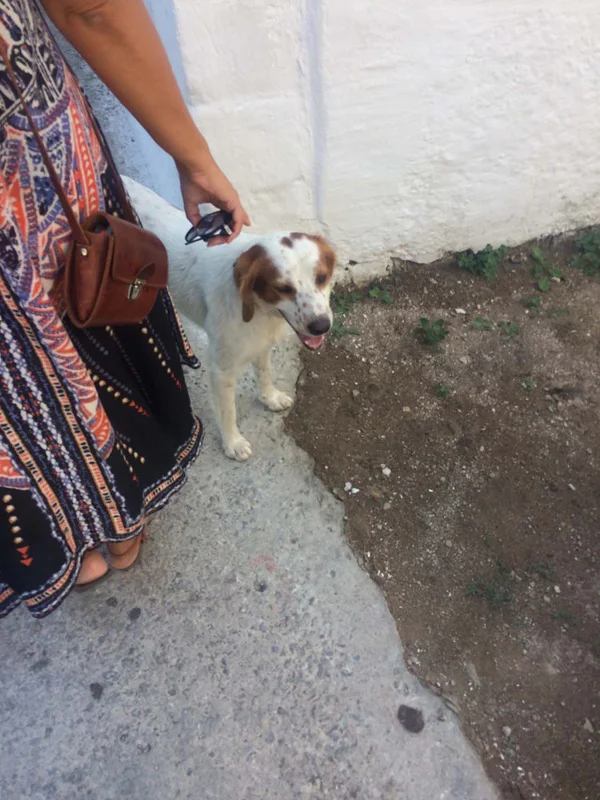 Christina makes a friend.