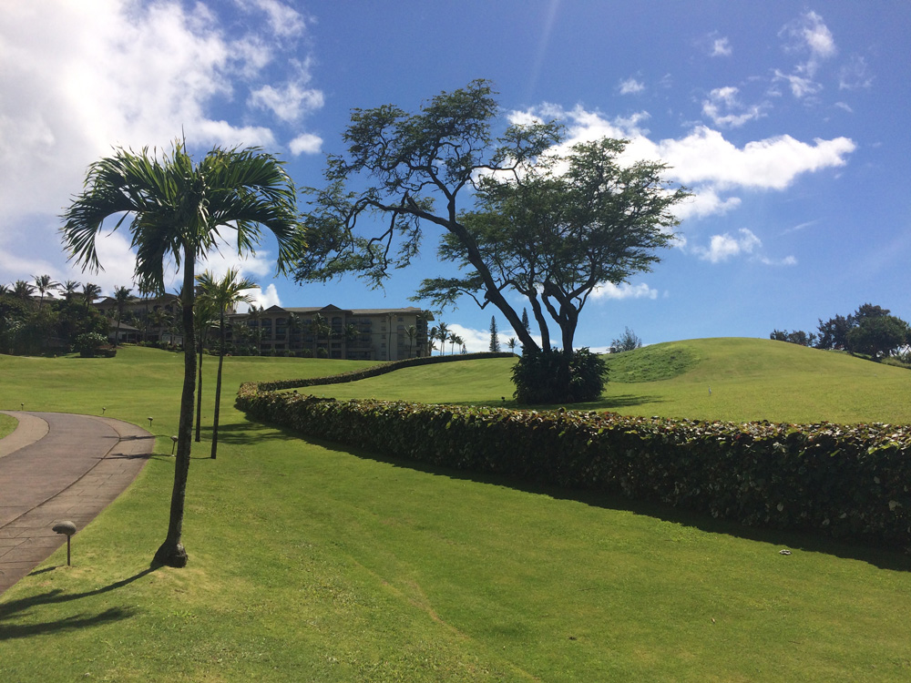 This is the lawn of the Ritz-Carlton in which during the construction the largest burial site of Native Hawaiian was discovered. The hill to the left is the burial mound which was left untouched.