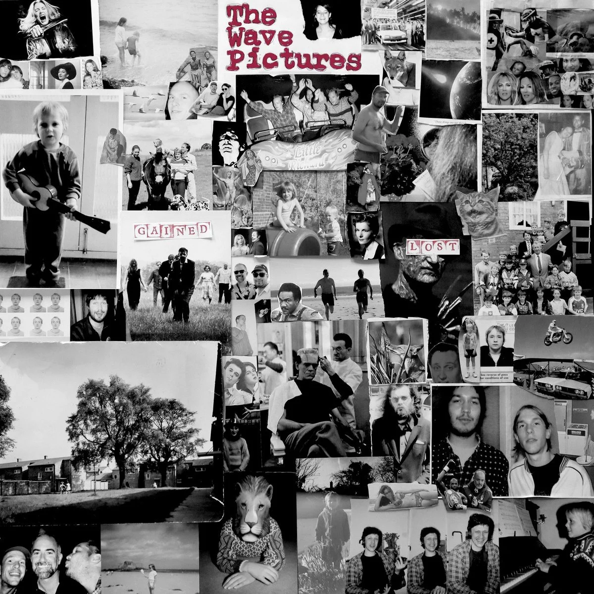 The Wave Pictures - Gained:Lost.jpeg