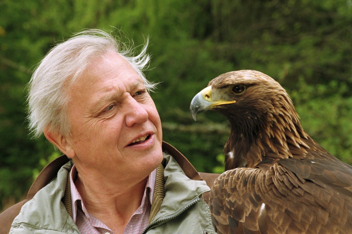 Eagle-eyed David Attenborough. What's the word? The word is ...