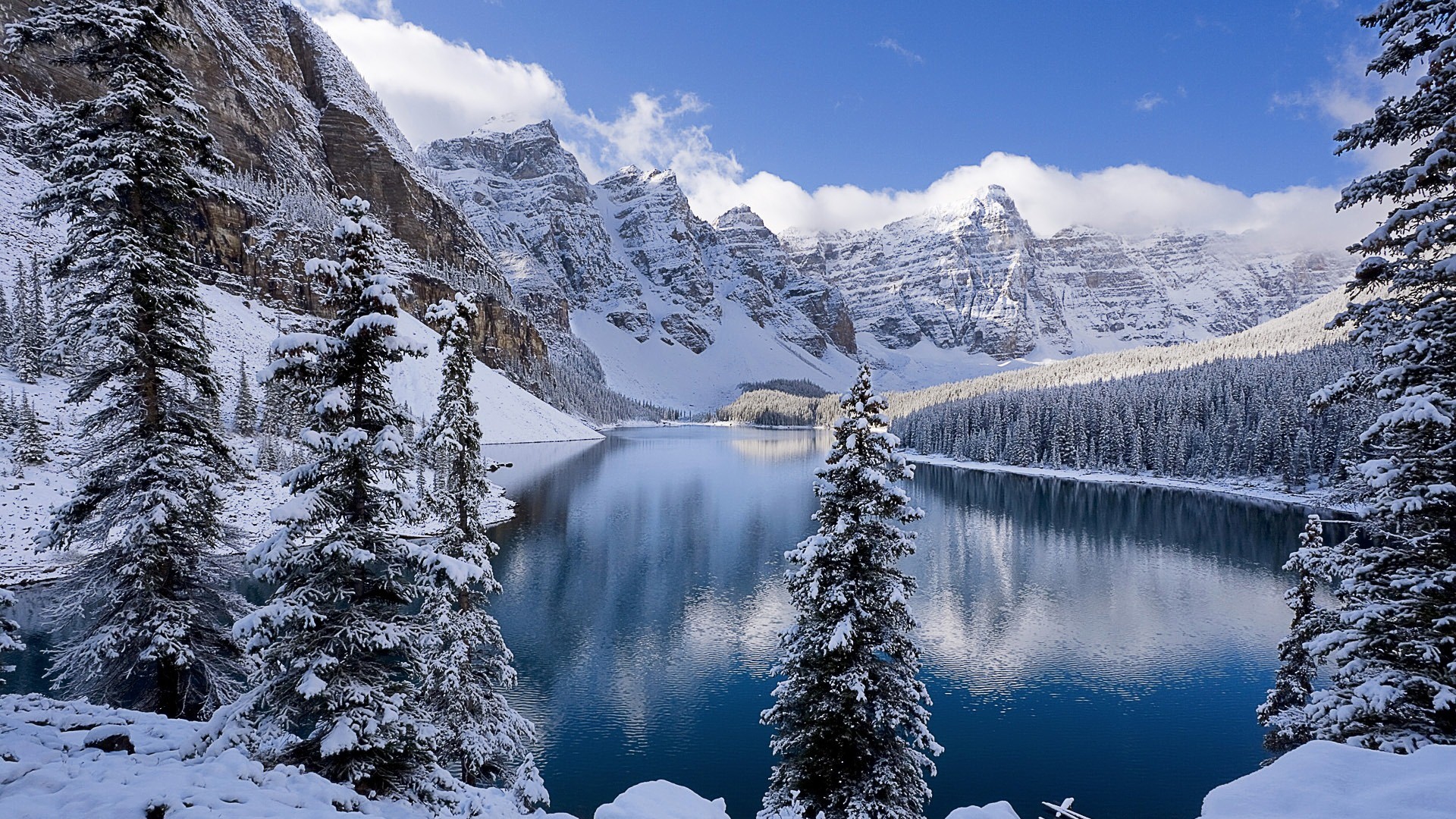 Winter: a wonderland of deathly beauty