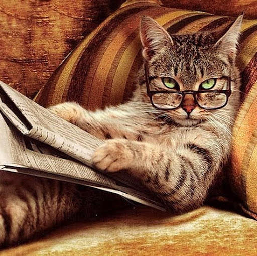 Utterly gratuitous clever feline image doing a crossword. Catnip for the internet.