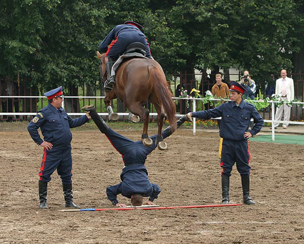 Jump they say? Or just an almighty cockup?
