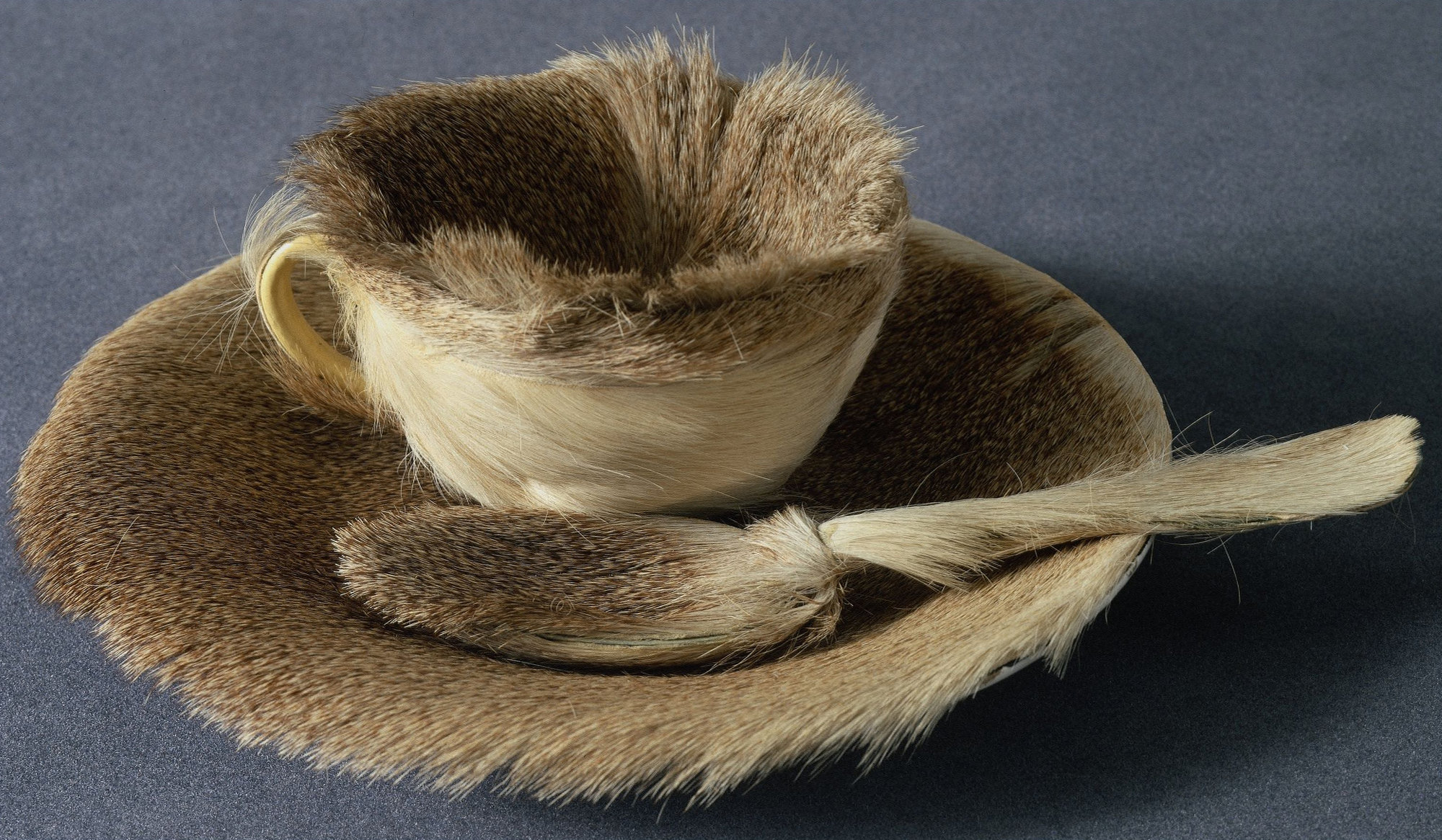 Object. Paris, 1936 by Meret Oppenheim