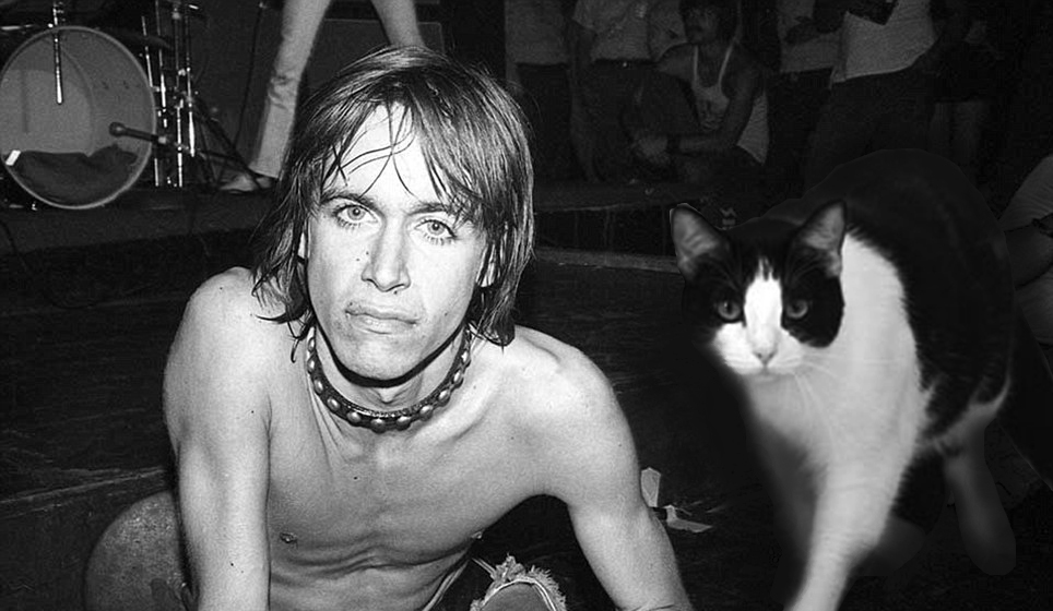 Iggy Pop and friend are watching the news