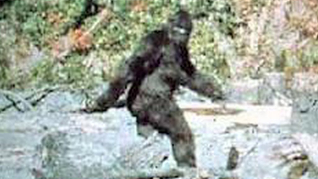 Just a snap of me taking my morning walk.