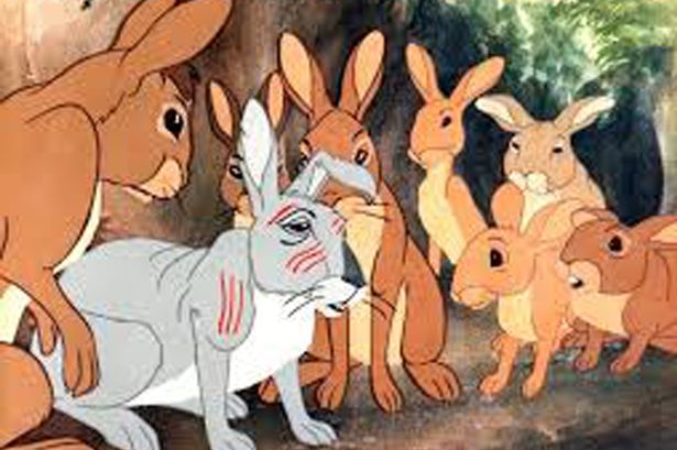 Going underground … as told by the rabbits of Watership Down