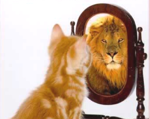 Paws for thought: is confidence is what you see in yourself?