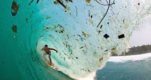 In the eye of the ... plastic