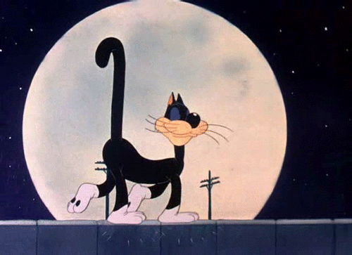 Stray Cat Strut …