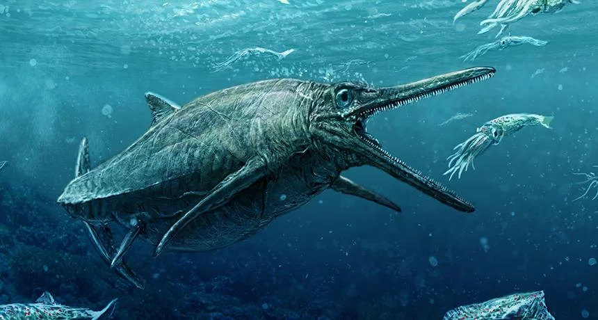 An ichthyosaur could be a long as 15 metres. Surely that’s worth a song or two?