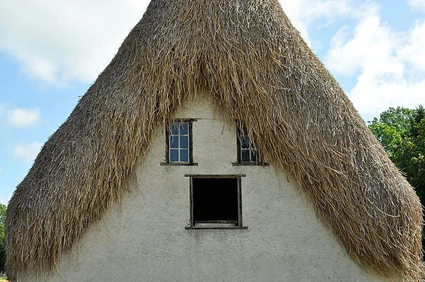 Horrified, hairy house
