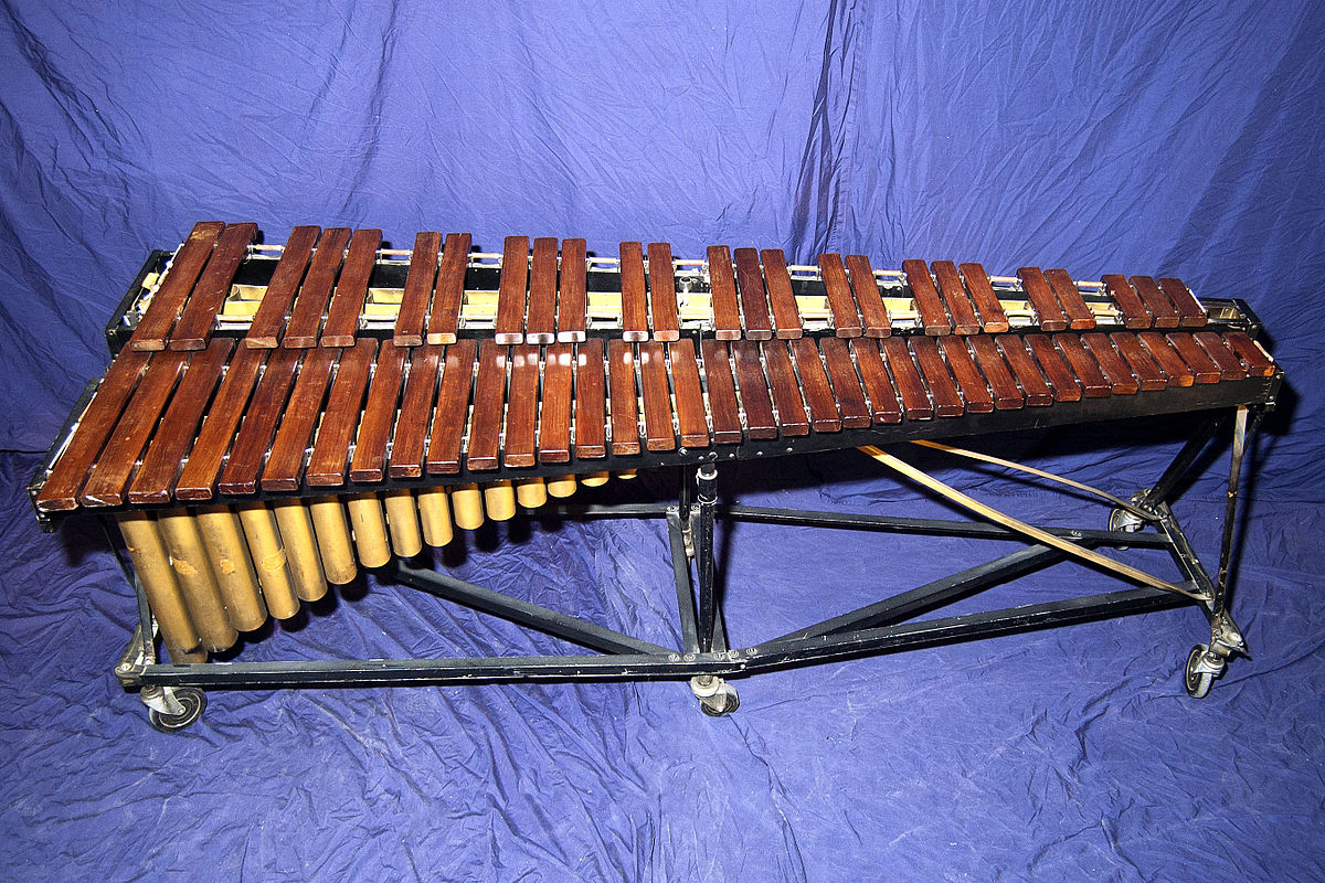 The xylorimba has a bigger range than either the xylophone or marimba